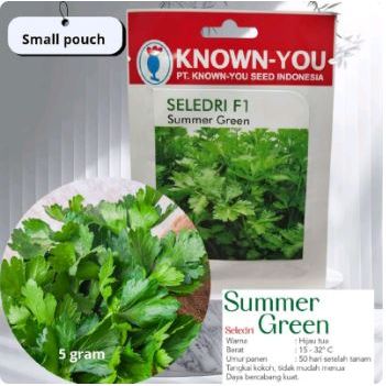 Benih Seledri SUMMER GREEN 5 gram Known You Seed Tidak Cepat Menua