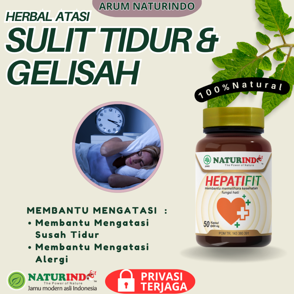 Obat Herbal Insomnia Susah Tidur  Sulit Tidur  Herbal Alami Naturindo Hepatifit