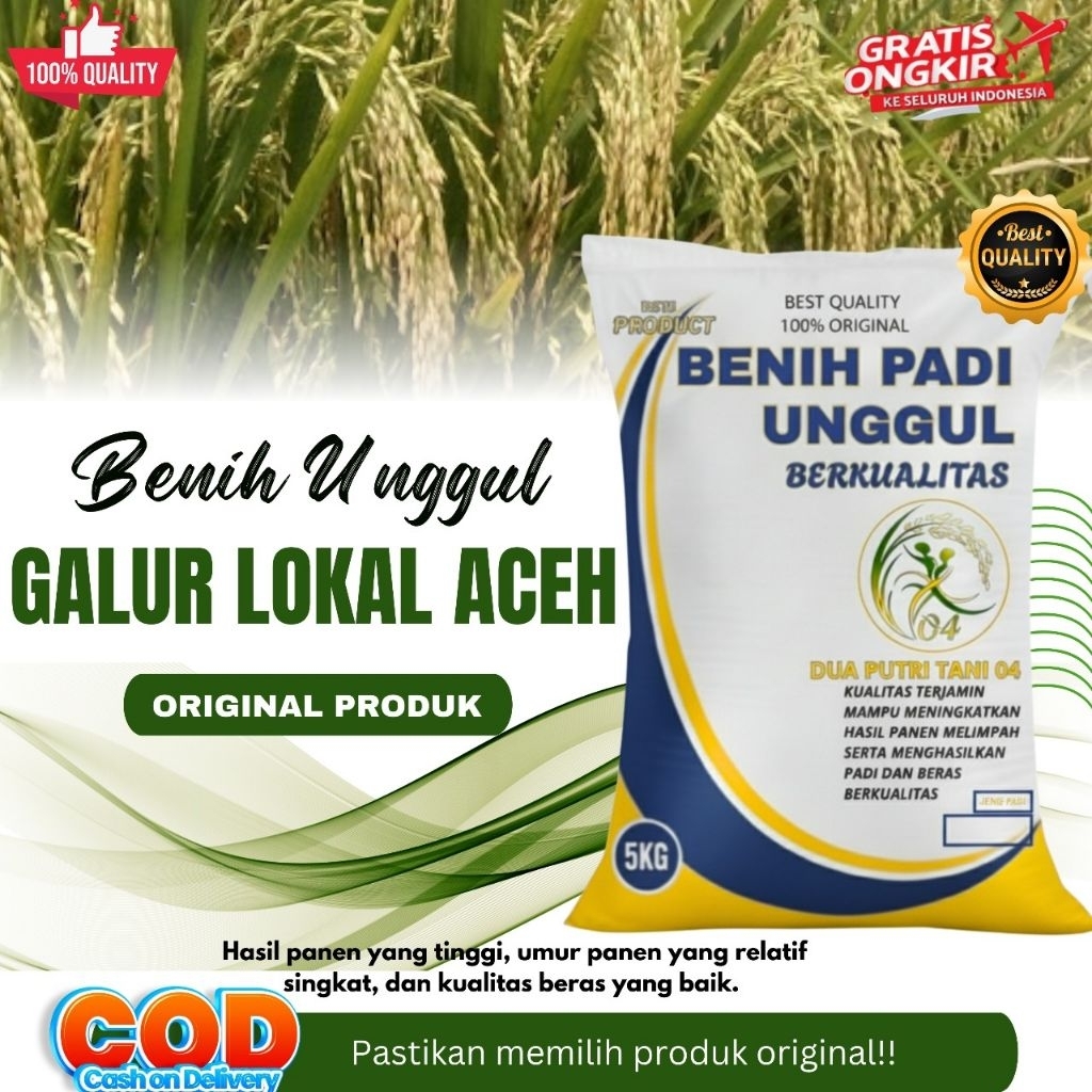 BIBIT PADI GALUR LOKAL ACEH KEMASAN 5KG