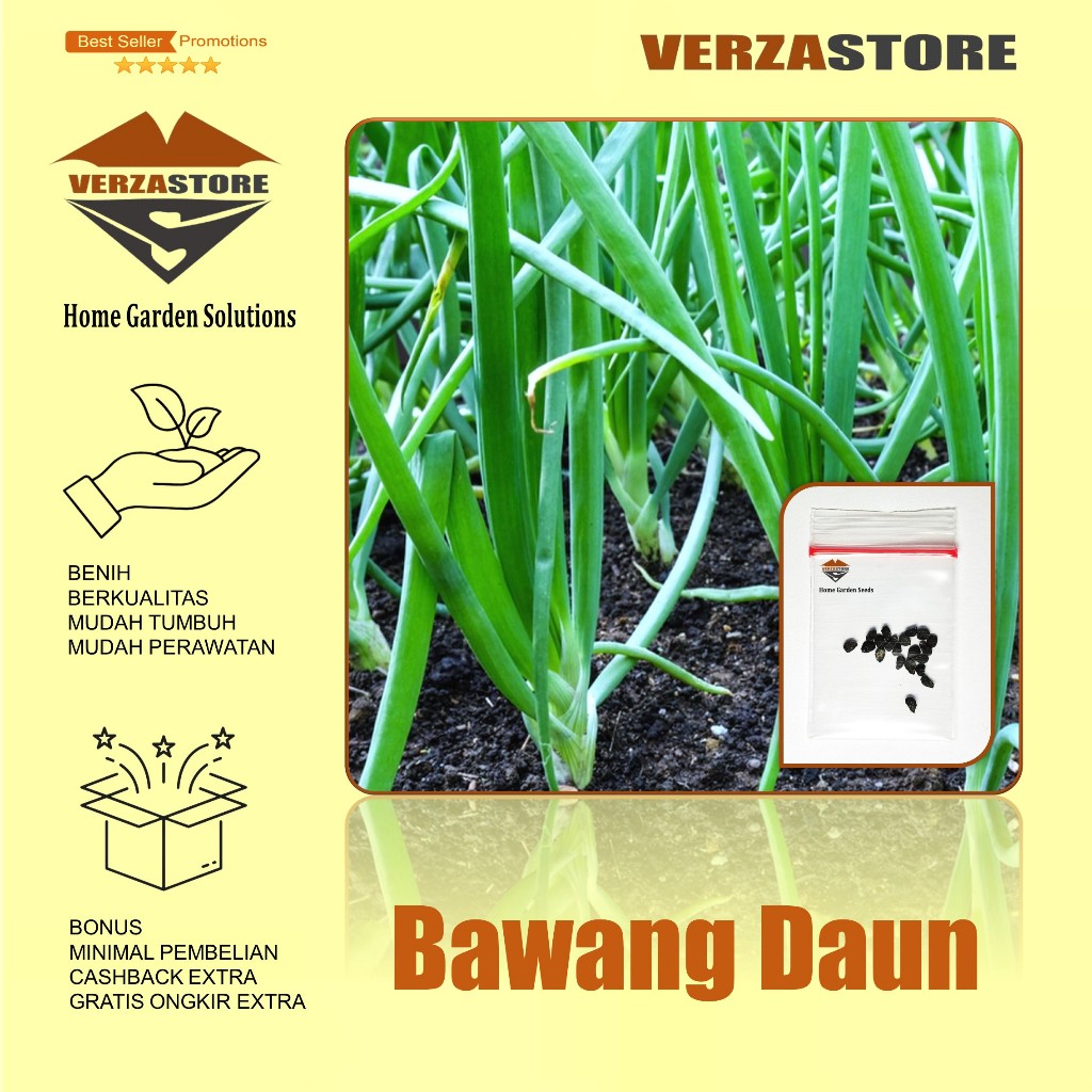 Biji Benih Daun Bawang F1 Fragrant Sayuran Loncang Unggul ±20 Biji