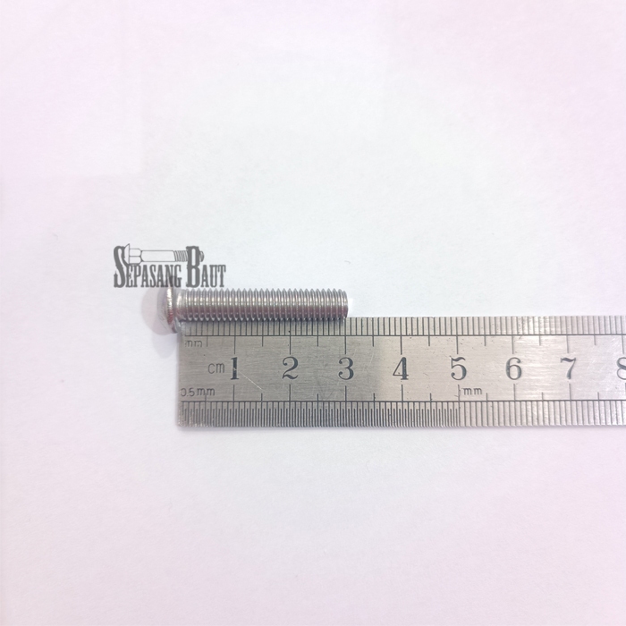 M6 x 30 Baut Button L Stainless 304 M6x30