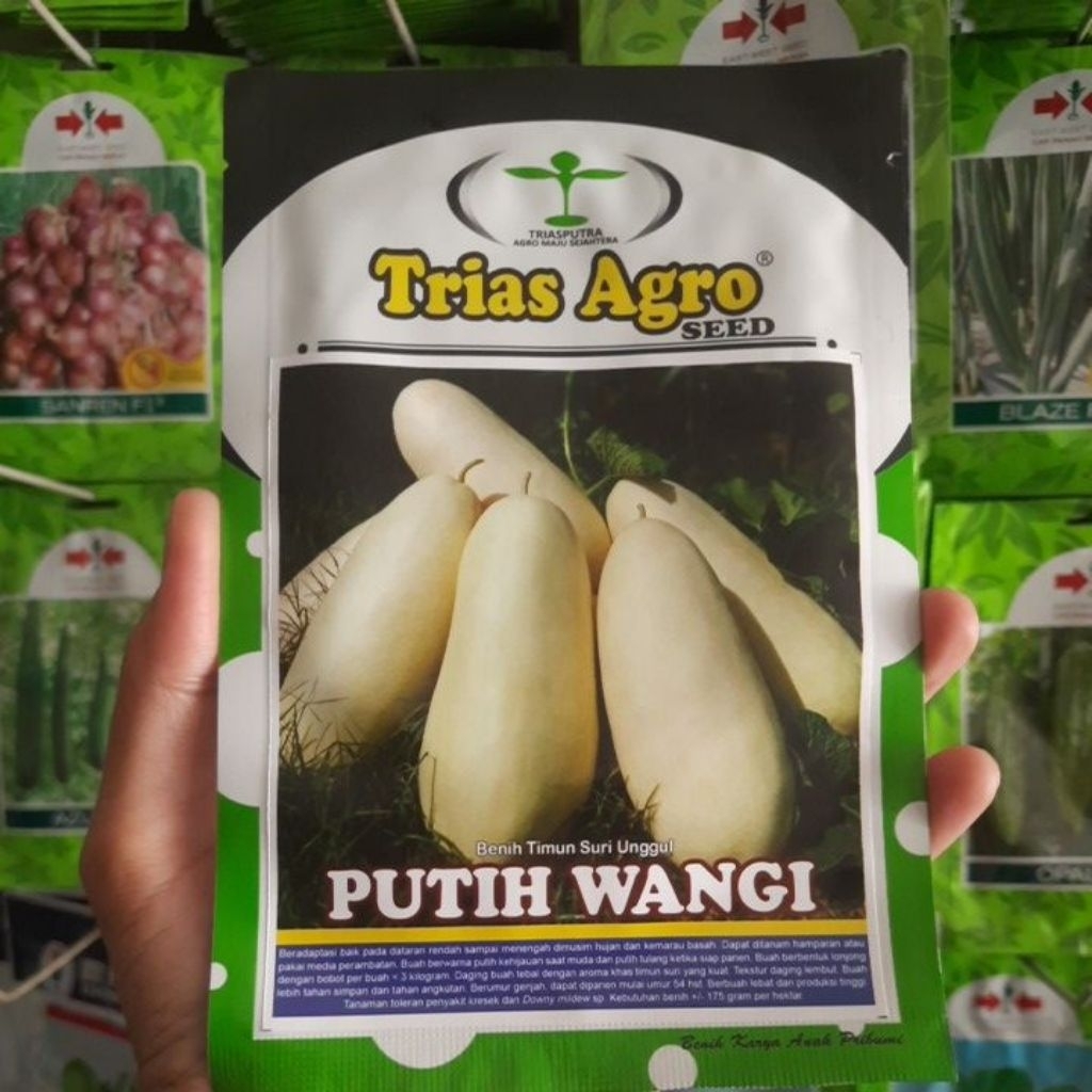 Benih Timun Suri PUTIH WANGI Isi 10gr