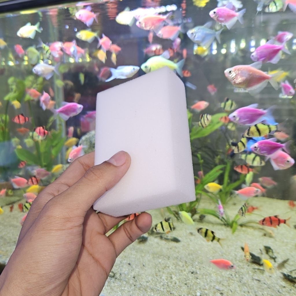 Spons Magic Pembersih kaca aquarium