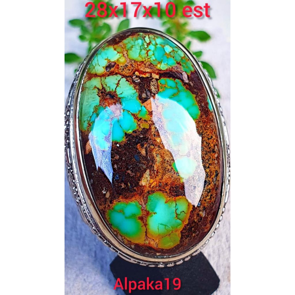 Pirus Persia lawasan jumbo mewah