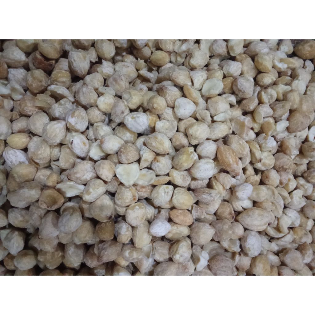 kemiri 1 kg/kemiri utuh 1 kg/kemiri/miri 1kg/miri