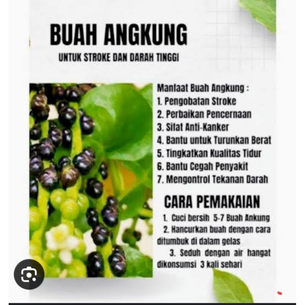 buah angkung
