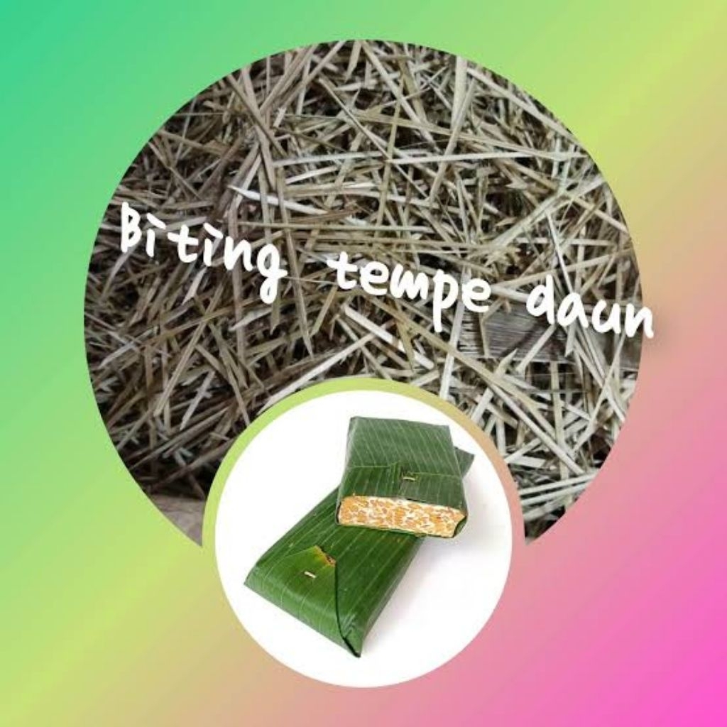 biting tempe daun