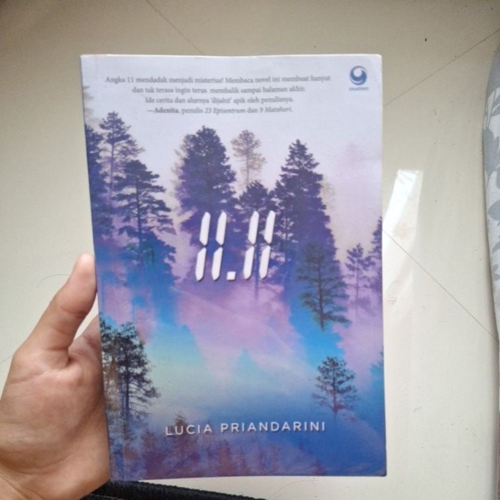 novel 11.11 by lucia priandarini