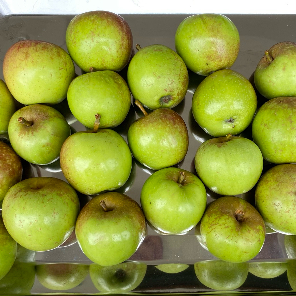 Apel Malang 1 Kg Fresh - Manis dan Renyah Apel Manalagi Fresh Kota Batu