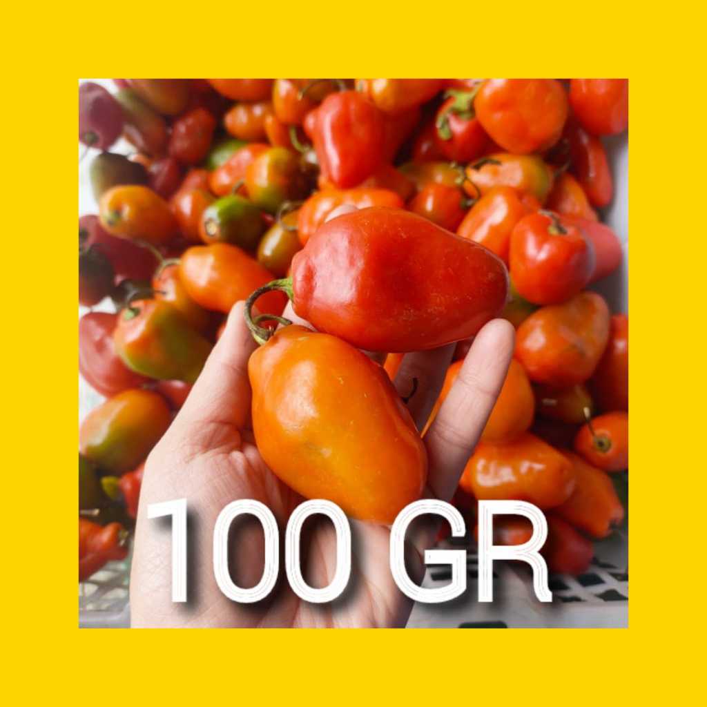 CABE FULL RED 1 ONS // CABAI GENDOT MERAH SEGAR