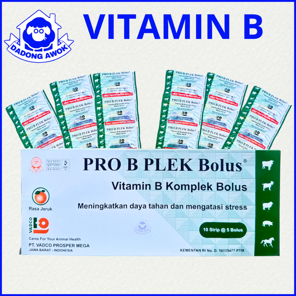 VITAMIN KAMBING SAPI DOMBA - PRO B PLEK BOLUS - B KOMPLEK KAPSUL - B KOMPLEKS SAPI KAMBING vadco