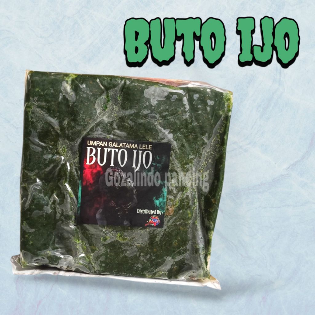 Umpan jadi Buto Ijo untuk galatama lele