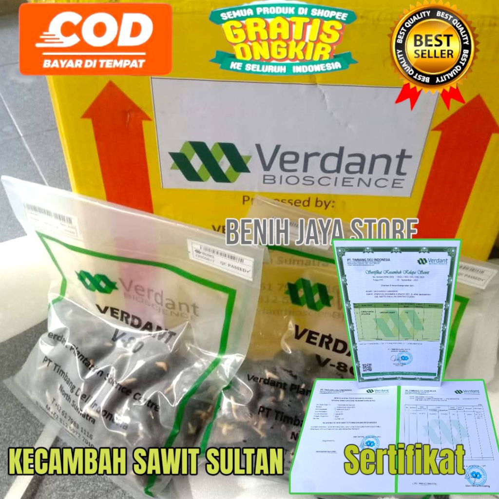Kecambah sawit VERDANT SELECT ORIGINAL