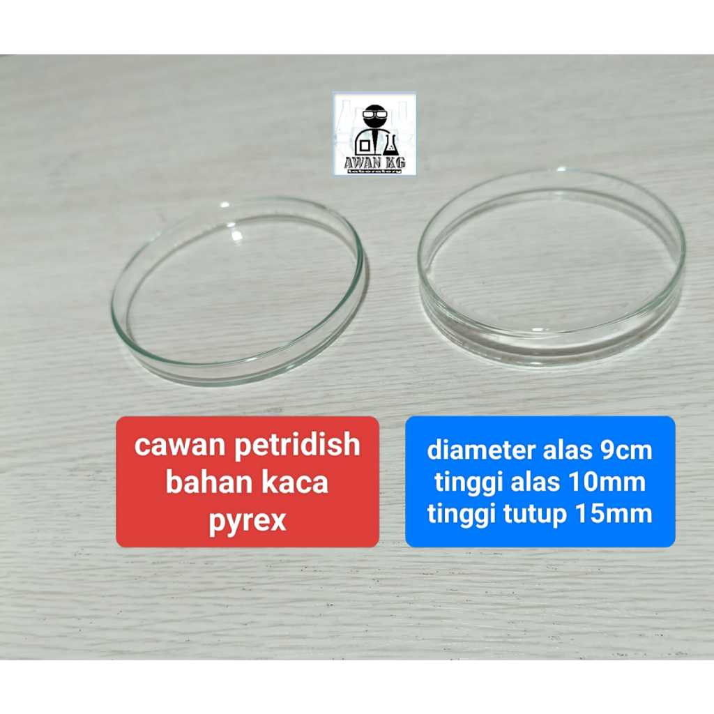 Cawan petridish kaca diameter 9cm petri dish pyrex 9cm