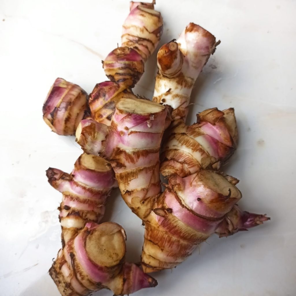 umbi ganyong lereng Muria manis,pulen 1 kg