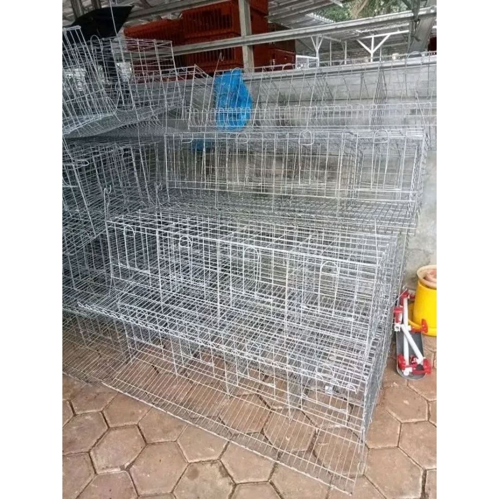 Kandang Ayam petelur galvanis 120 cm 4 kamar Isi 8 Ekor