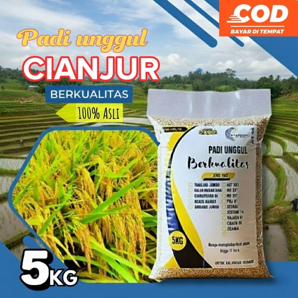 Benih padi CIANJUR kualitas premium kemasan 5Kg