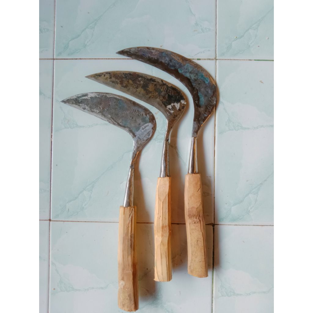 Arit cap intani asli Madura