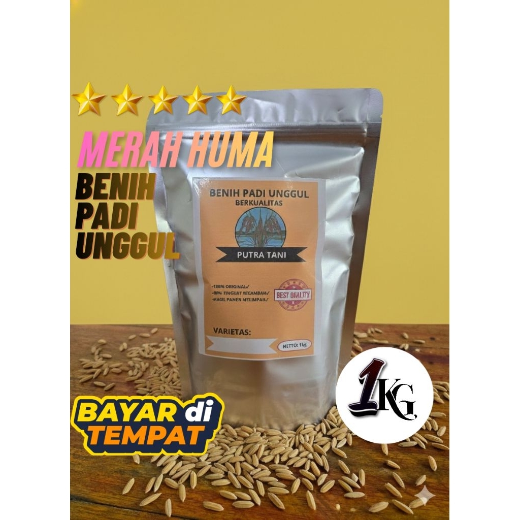 Benih padi/bibit padi unggul Merah huma 1kg berkualitas