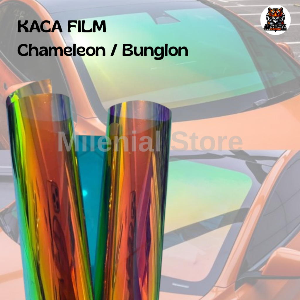Stiker Kaca Film Chameleon Kaca Film Pelangi Kaca Film Bunglon