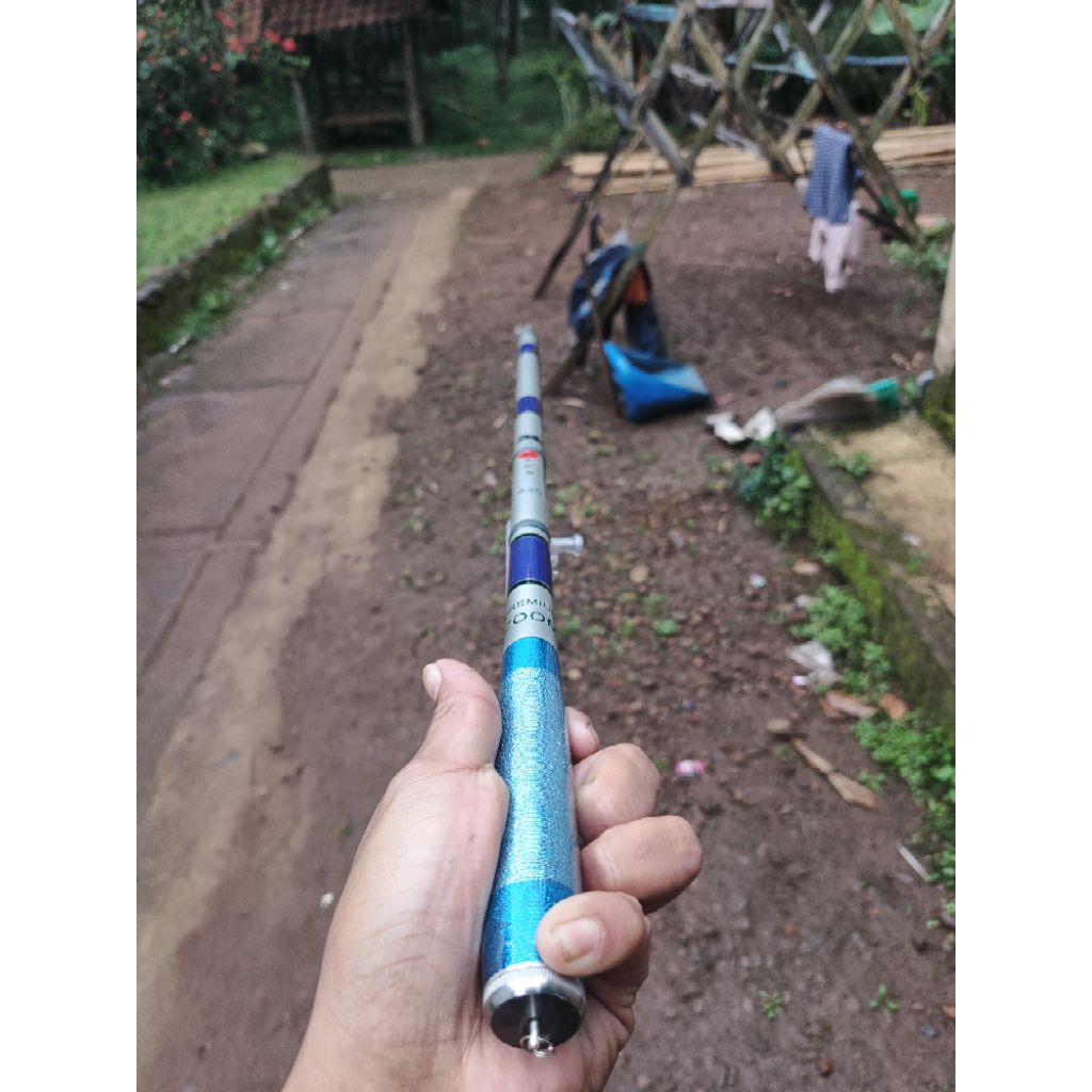 tegek kagawa sea silver