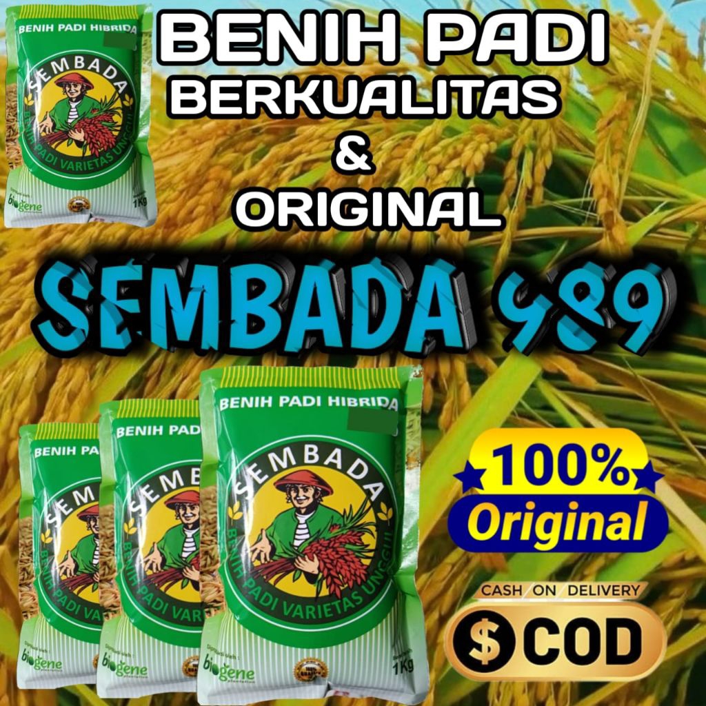 BENIH PADI SEMBADA 989 ORIGINAL KEMASAN 1KG