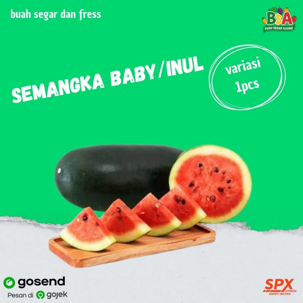 SEMANGKA BABY/INUL MANIS SEGAR BANDUNG