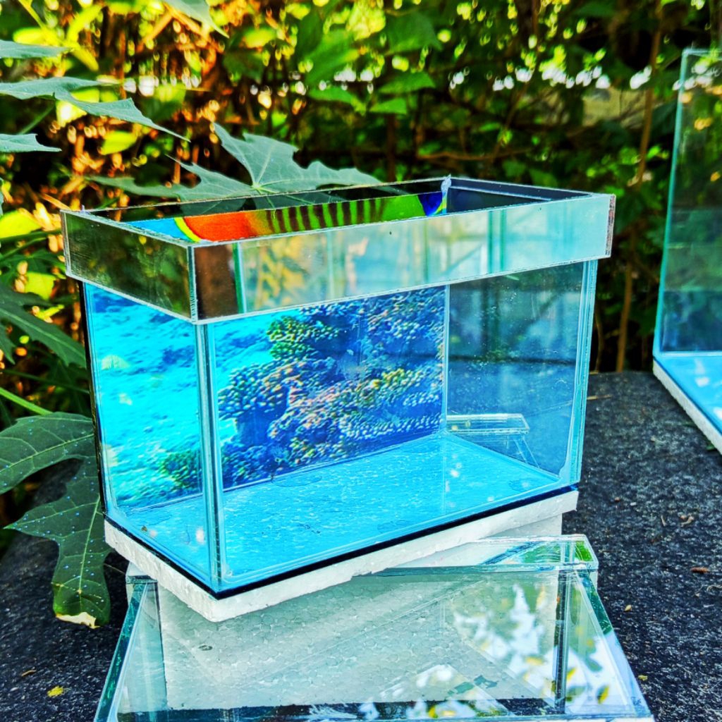AQUARIUM CUPANG KECIL imut imut , 15 x 8 x 10 lis begron , kaca tebal 5 mili
