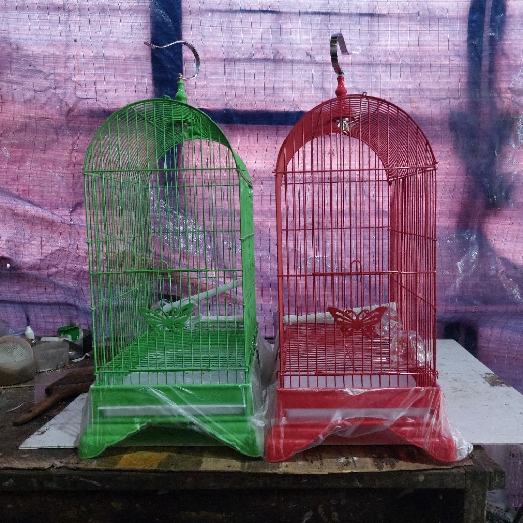 kandang burung besi