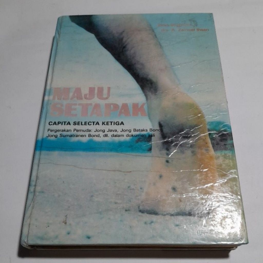 Buku Maju Setapak Pitut Soeharto KAPITA KE TIGA (3)