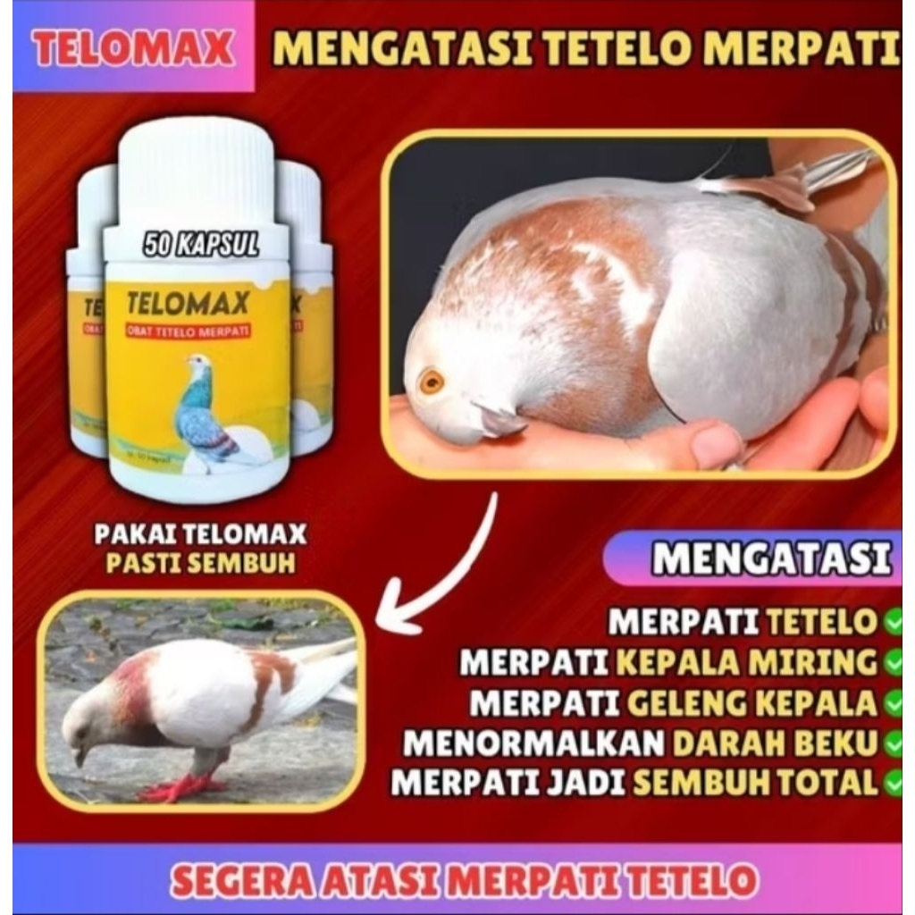 Obat TETELO, Telo Merpati TELOMAX ISI 50 Butir