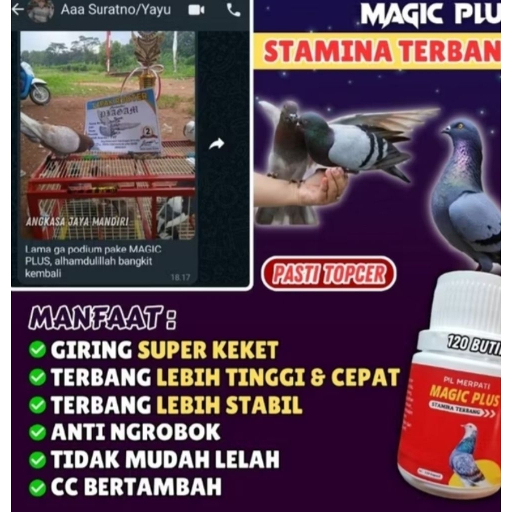 Magic Plus Merpati Jamu Giring ,Stamina Terbang dan Giring Merpati