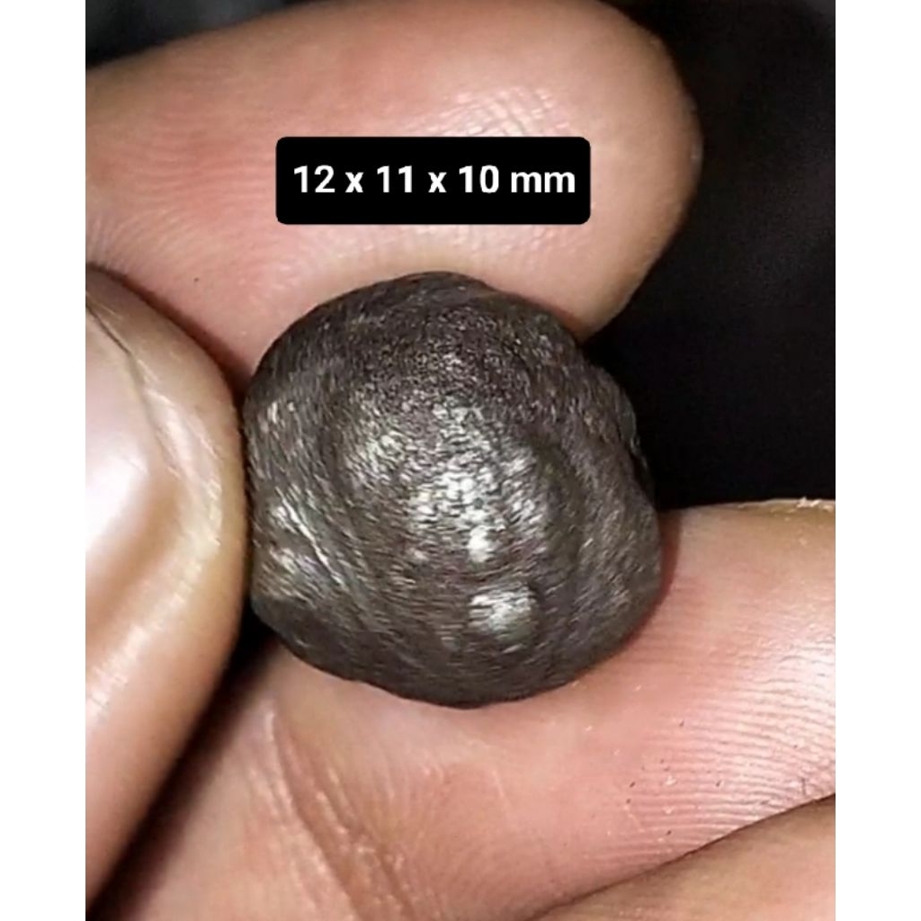 Batu badar besi pulosani natural, asli alam