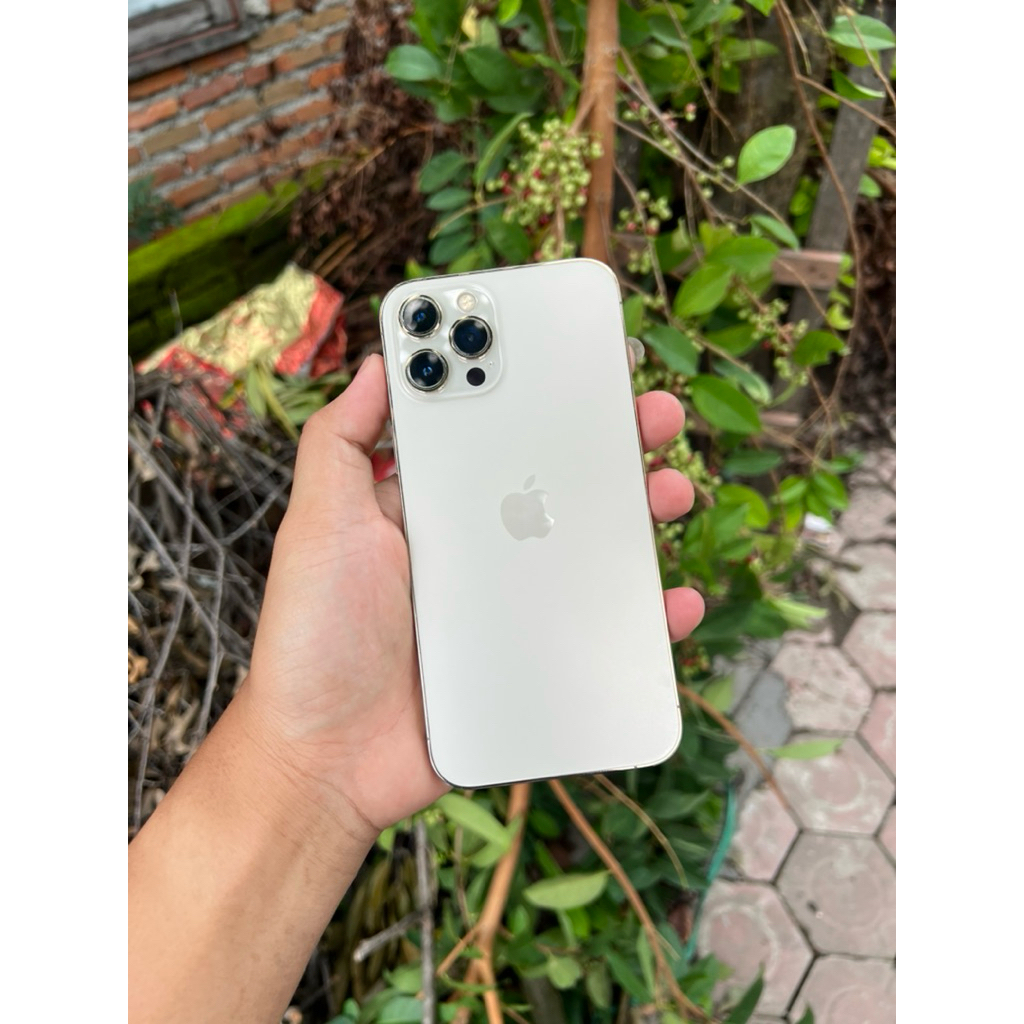 iPhone 12 Promax 256 Beacukai