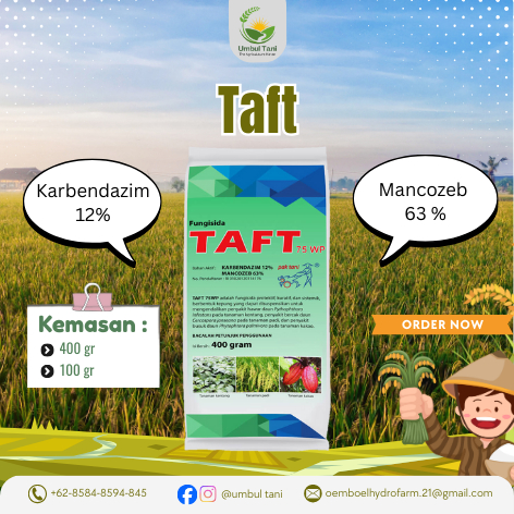 Taft | Mankozeb 63% & Karbendazim 12% | Fungisida Protektif, Kuratif, Sistemik (Pak Tani)