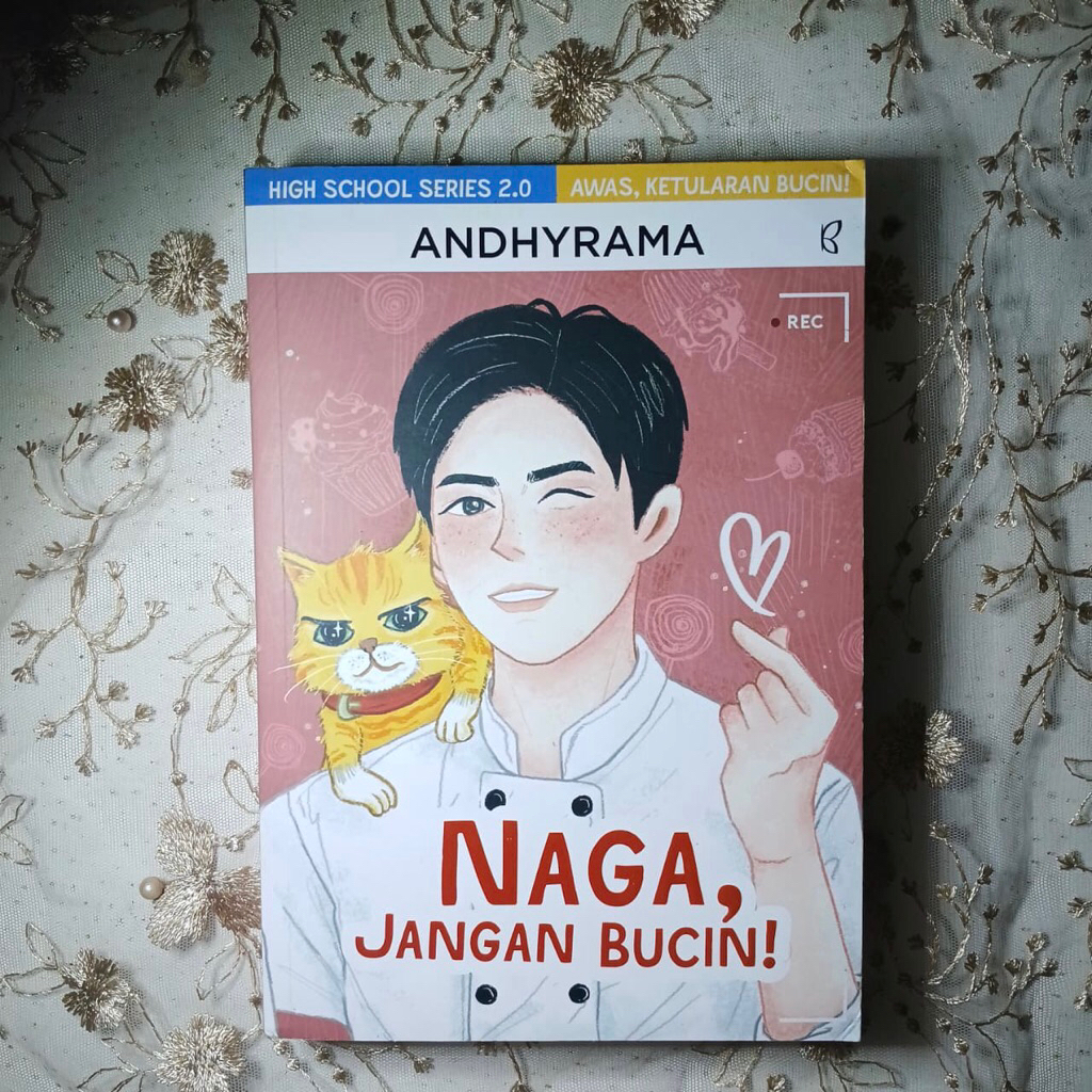 Preloved - Buku Novel Naga, Jangan Bucin by Andhyrama