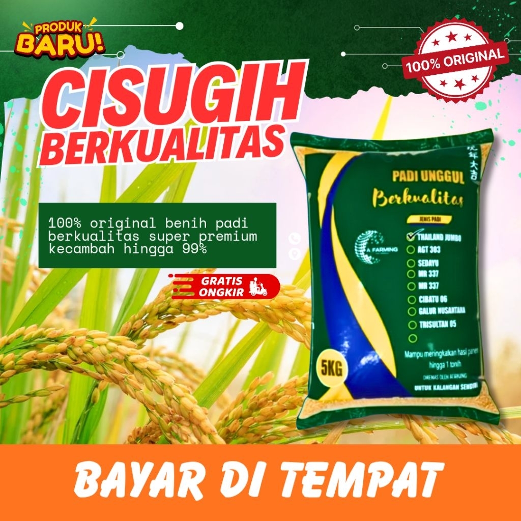 Benih padi Ciherang sugih original kemasan 5kg