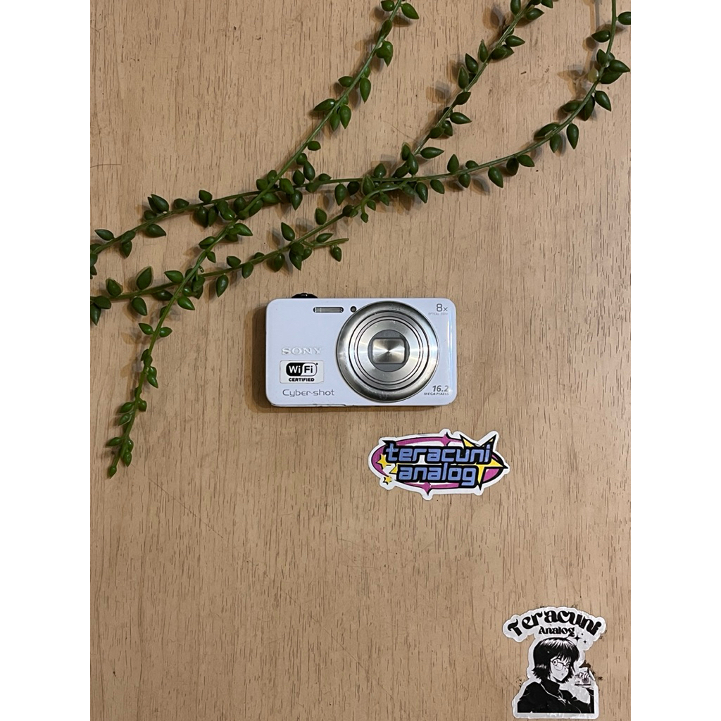 SONY CYBERSHOT DSC WX-80