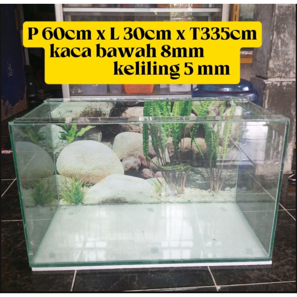 Aquarium kaca 60cm