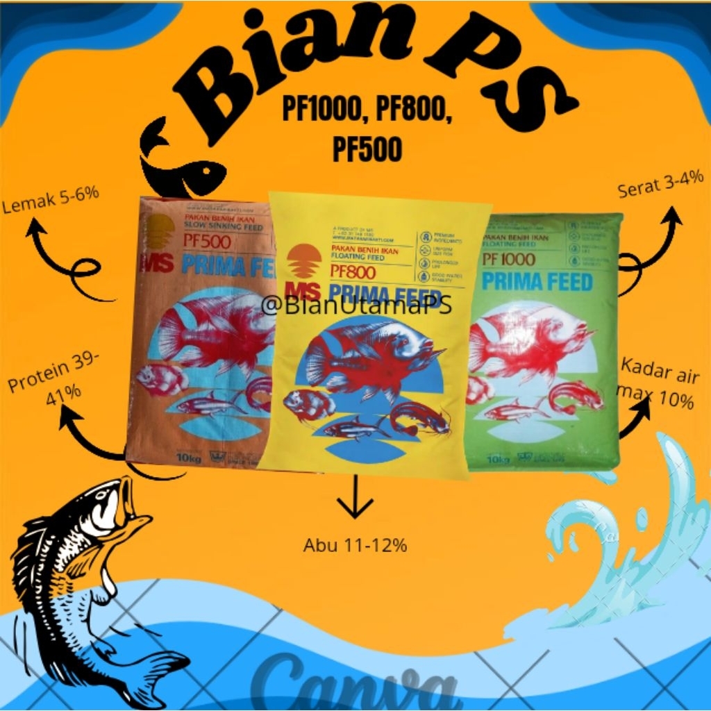 MS PF1000, PF800, PF500