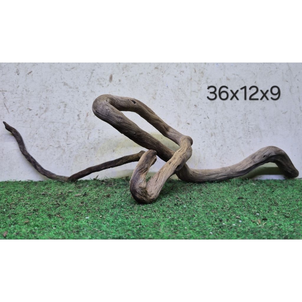 Kayu Santigi Laut Kecil 36cm Kayu Tenggelam Aquascape Aquarium Taman 36x12x9 E3