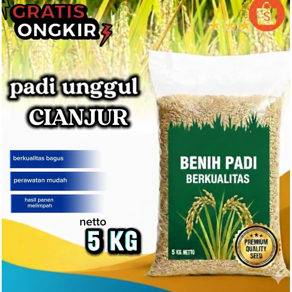 Benih padi CIANJUR berkualitas kemasan 5kg