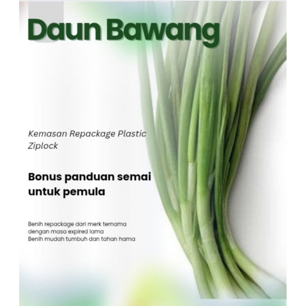 Benih Sayuran Daun Bawang F1 Hibrida