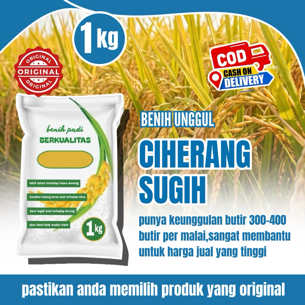 Benih padi CIHERANG SUGIH kemasan 1kg original