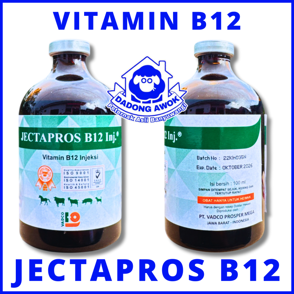 Vitamin B12 Hewan - JECTAPROS B12 100ML Vitamin B12 Injeksi Hewan Ternak Sapi Kambing Domba vadco