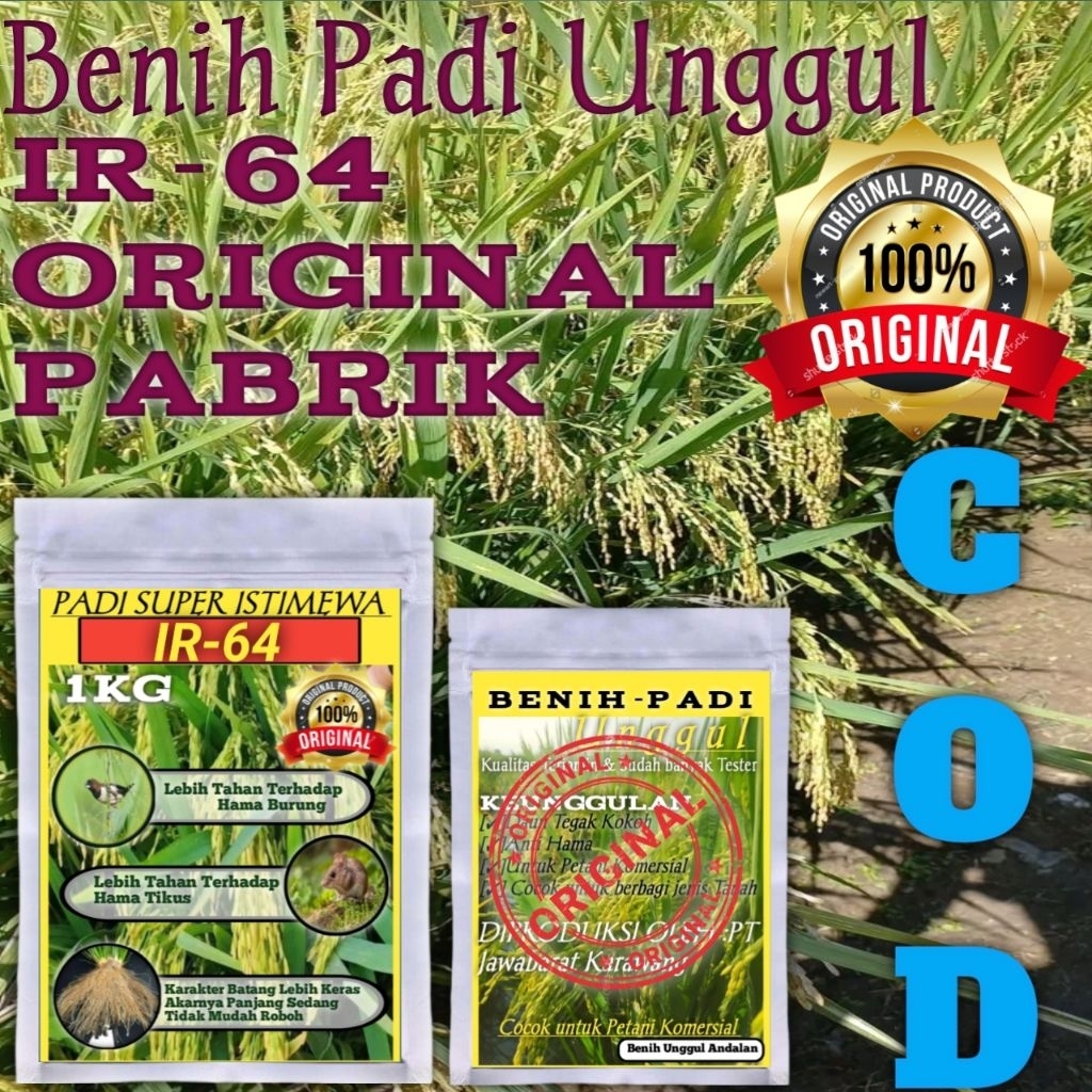 0BENIH PADI IR 64 JUMBO/REPACK/KEMASAN 1KG