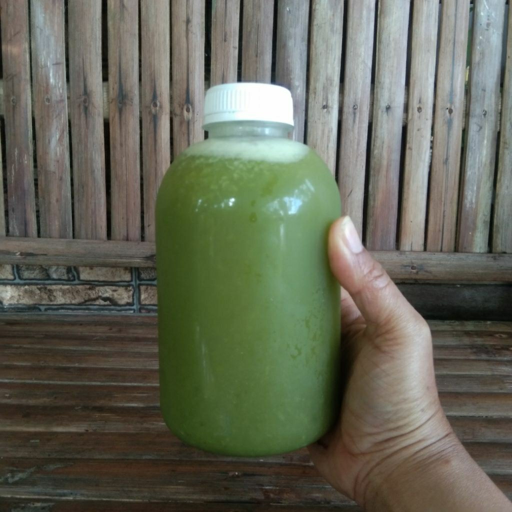 Eceran Botol Plastik Pet 1 liter model gendut Kemasan Minuman Jus Kopi Botol Teh Susu