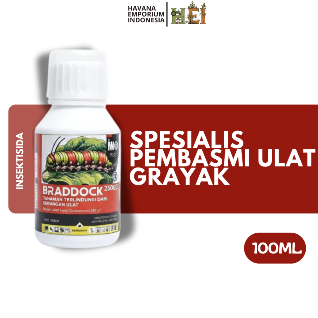 Braddock Insektisida Pembasmi Hama Ulat Sundep Kupu Putih Wereng Walang Sangit Ampuh Original