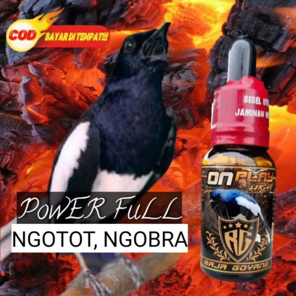 RG BOOSTER KACER VITAMIN BURUNG KACER HIGH ON PLAY