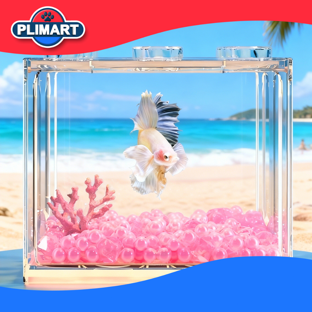 Aquarium Mini Full Set Tank Meja 12*10*8cm– Dekorasi Aquascape + Aksesoris + Rumah Ikan Cupang / Fis